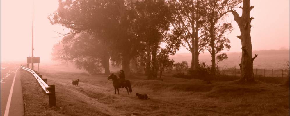
            Фотография Бальнеарио-Солис