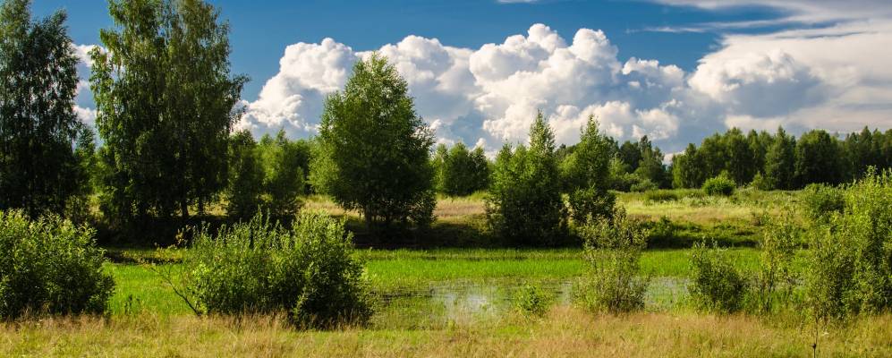 
            Фотография Трутнево