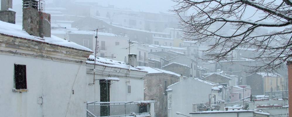 
            Фотография Ротонделлы