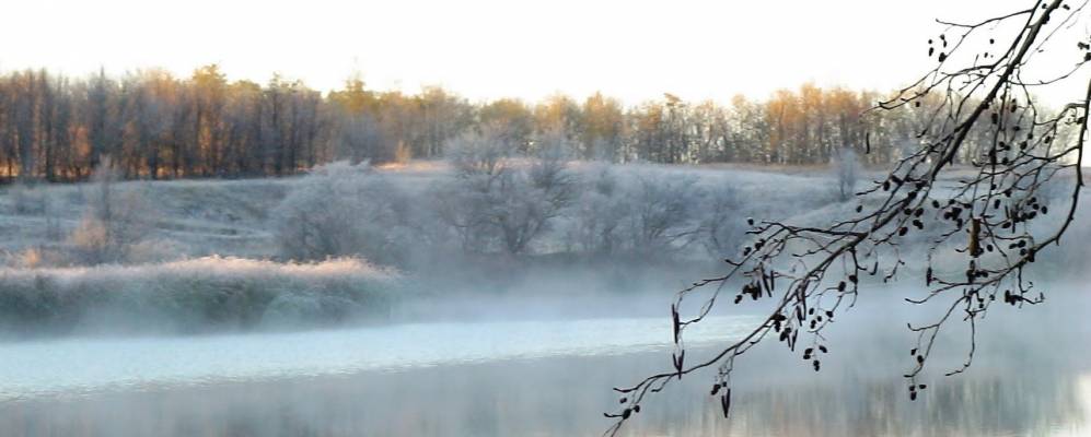 
            Фотография Федосовского