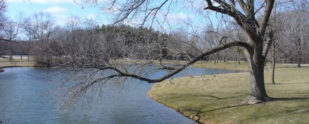 
            Фотография Браун Дира