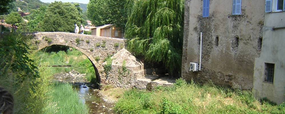 
            Фотография Коллобриер