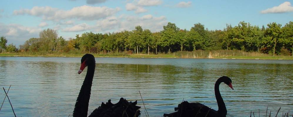 
            Фотография Постерхолта