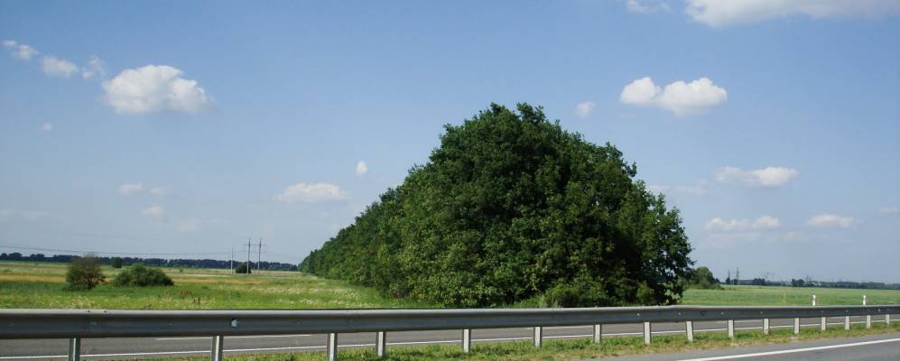 
            Фотография Бельковцы