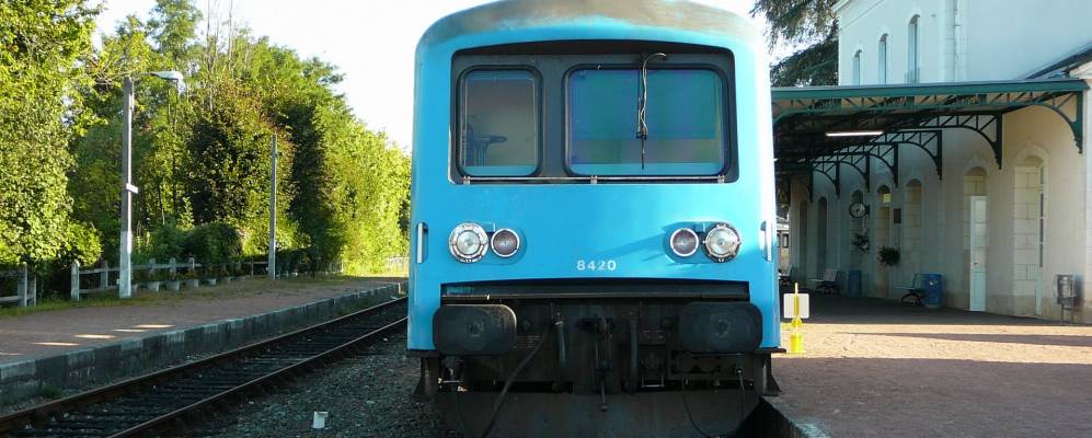 
            Фотография Лоша