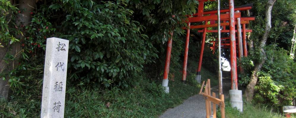 
            Фотография Танабе