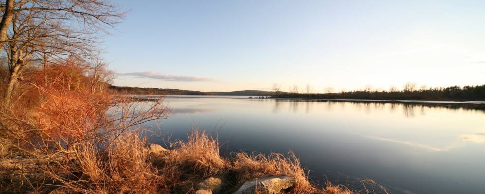 
            Фотография Оборна