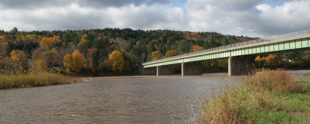 
            Фотография Callicoon