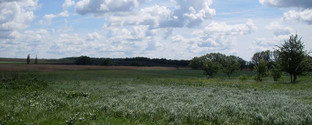 
            Фотография Попово