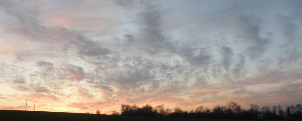 Фотография Дибровой