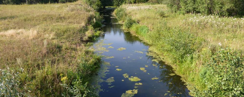 
            Фотография Богдановского
