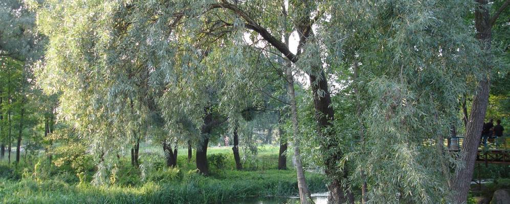 
            Фотография Богуслава