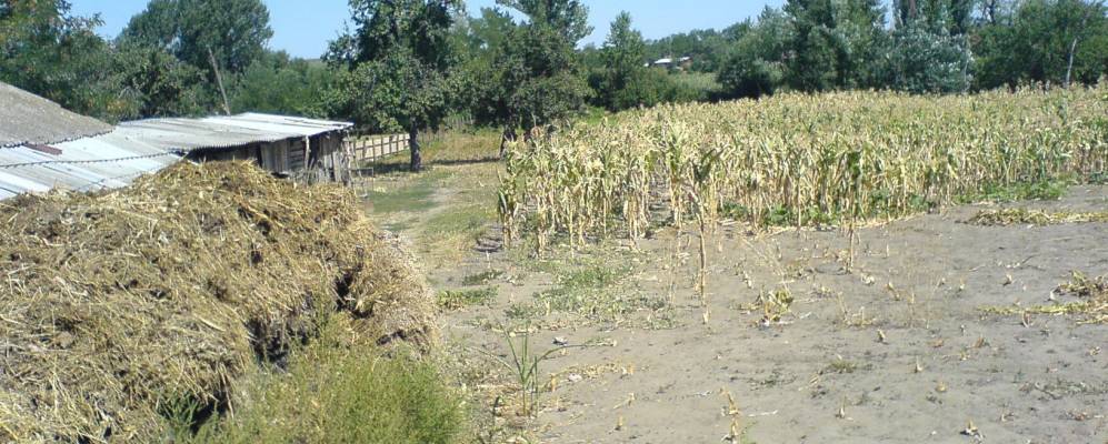 
            Фотография Михайловки