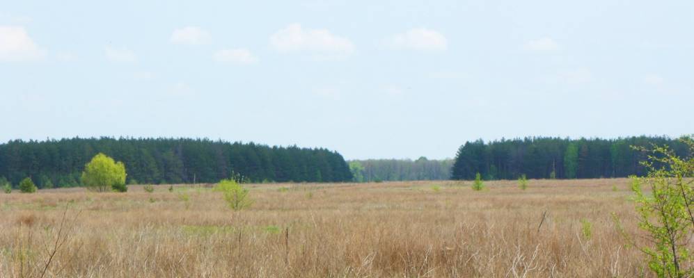 
            Фотография Пархимова