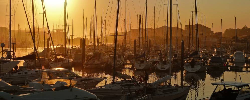 
            Фотография Осгор