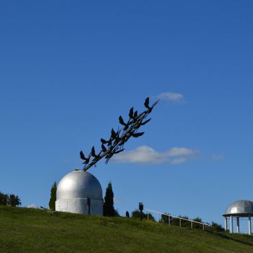 Мучкапский