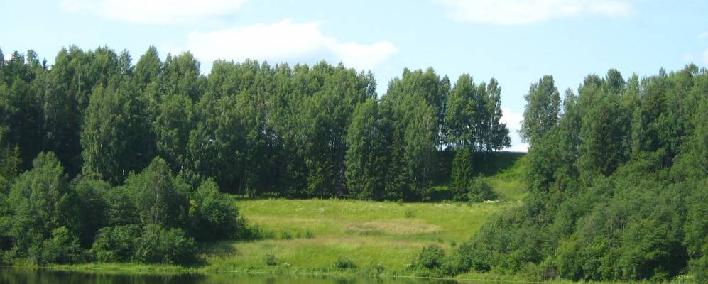 
            Фотография Челесниково