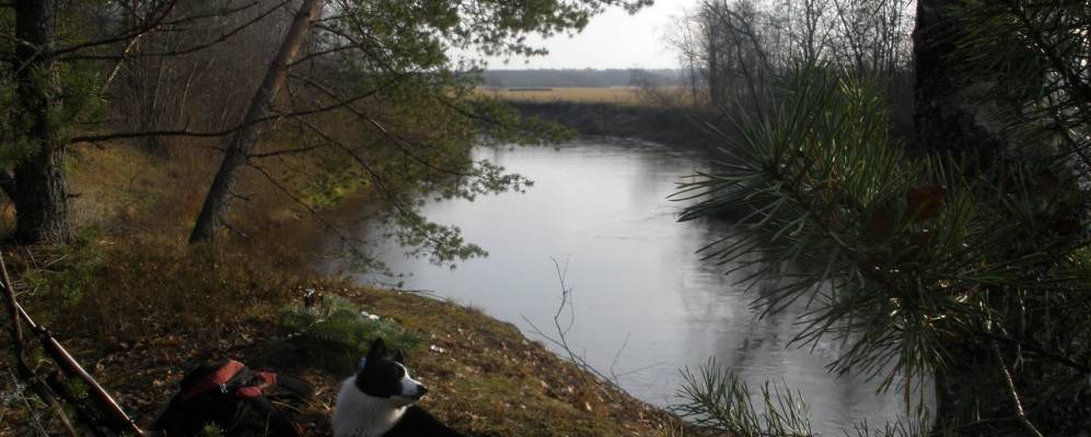 
            Фотография Каменки