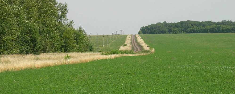 
            Фотография Заповедного