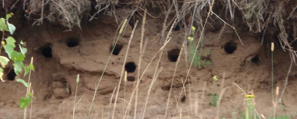 
            Фотография Ананьино