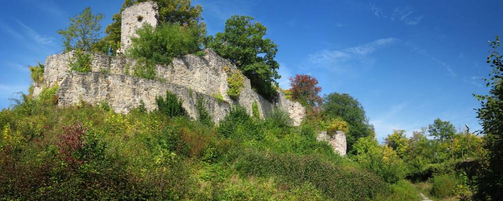 
            Фотография Нагольда