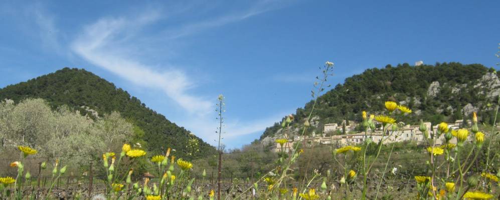 
            Фотография Сегюре