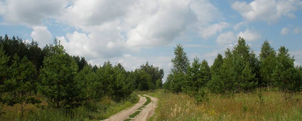 
            Фотография Конопляного