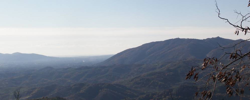 
            Фотография Белегры