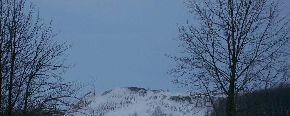 
            Фотография Бородинского