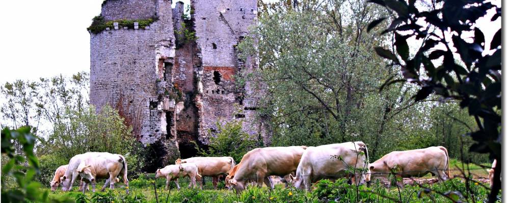 
            Фотография Машекуля