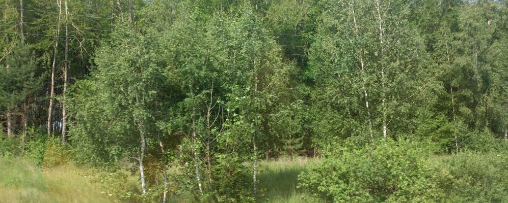 
            Фотография Иртышского