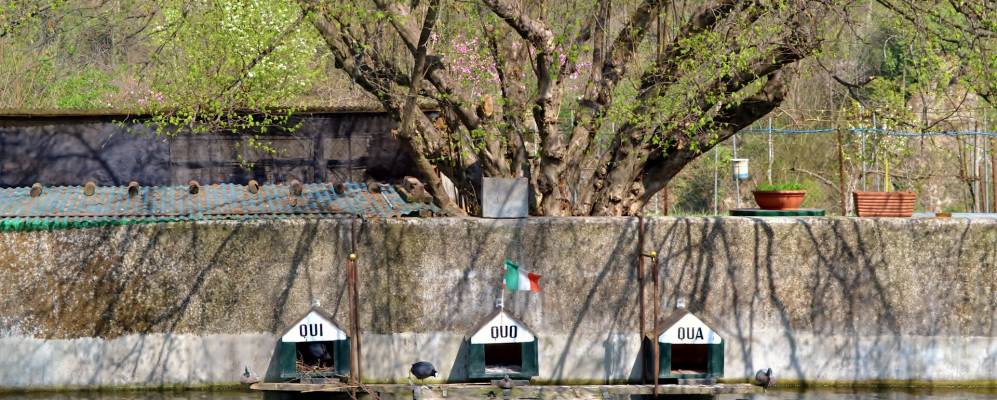 
            Фотография Каприате-Сан-Джервазио