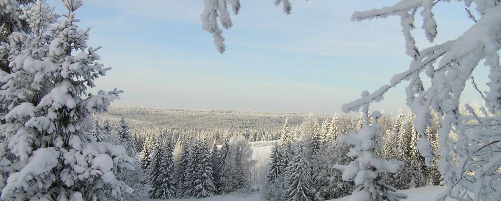 Фотография деревни Новинки