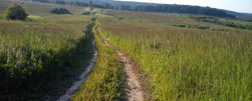 Фотография Ясной Поляны