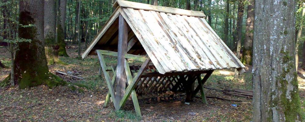 
            Фотография Драгини