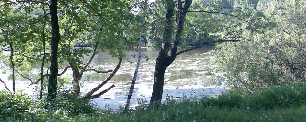 
            Фотография Богородского