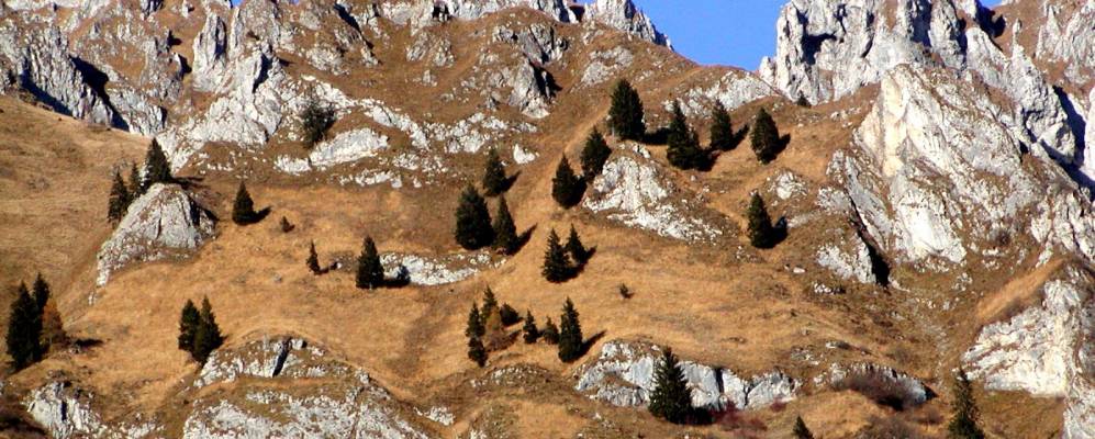 
            Фотография Лоцио