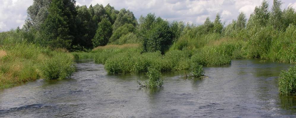 
            Фотография Кошибеевки