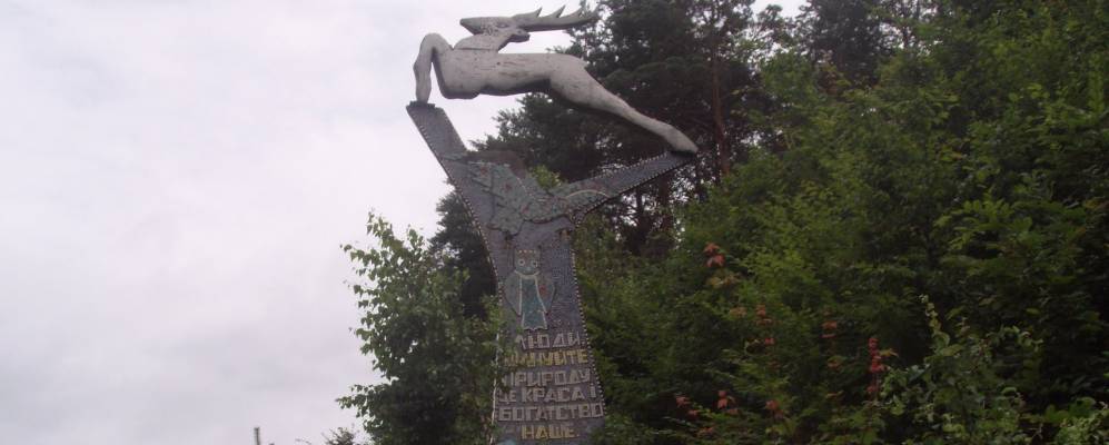 
            Фотография Боровского