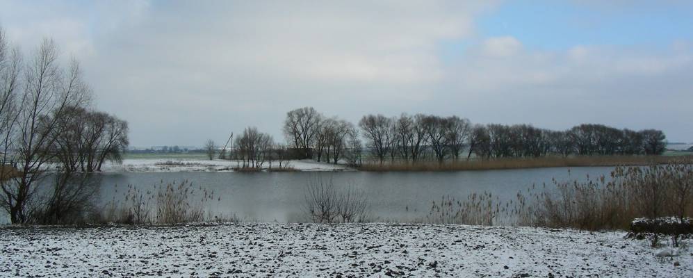 
            Фотография Новое Гряково