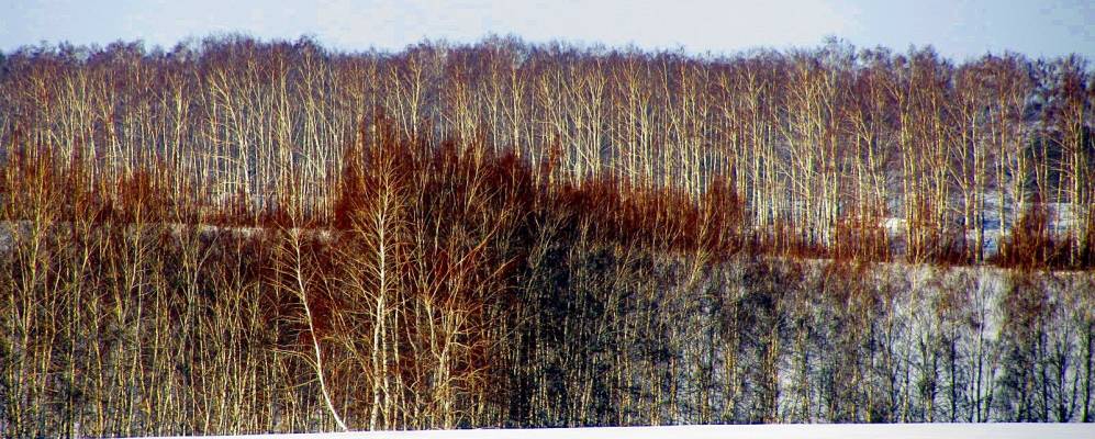 Фотография Казначеево
