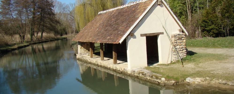 
            Фотография Гракэ