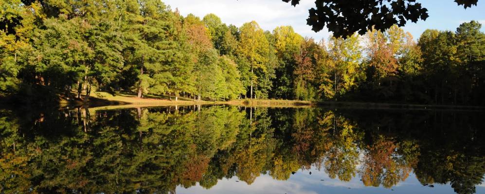 
            Фотография Ок-Риджа