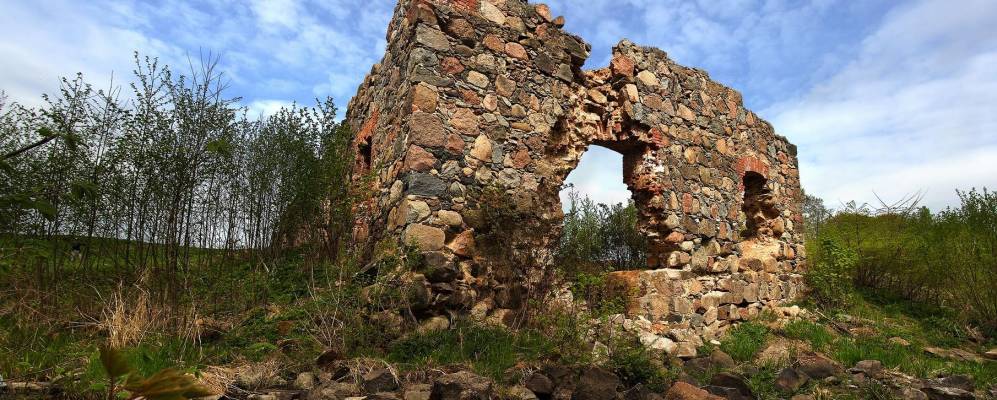 
            Фотография Конезерья