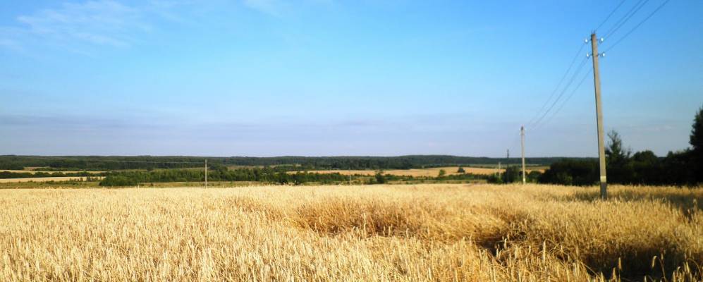 Фотография Батюжино