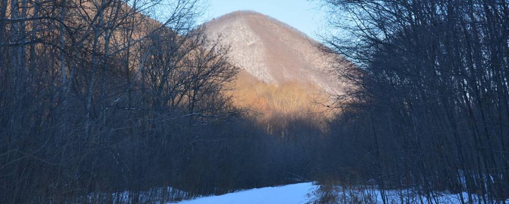 
            Фотография Залесья