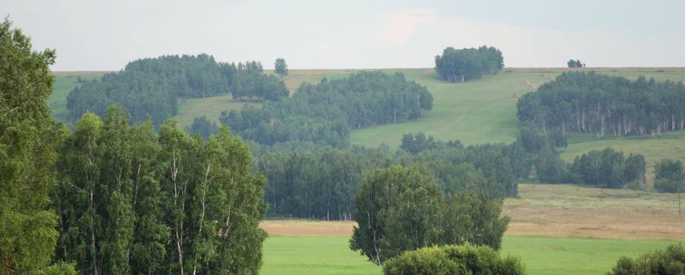 
            Фотография Красного