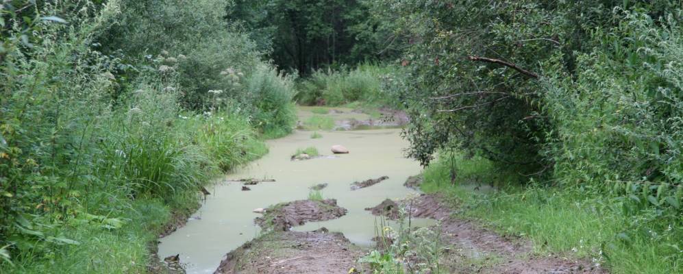
            Фотография Пустошки