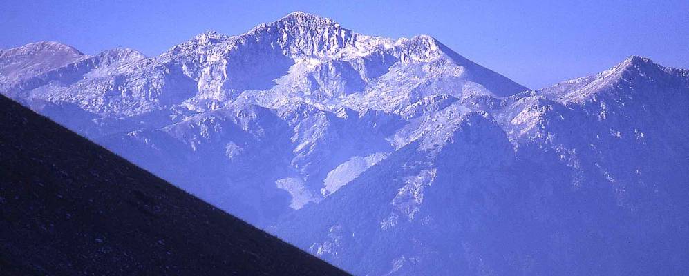 Фотография San Lorenzo