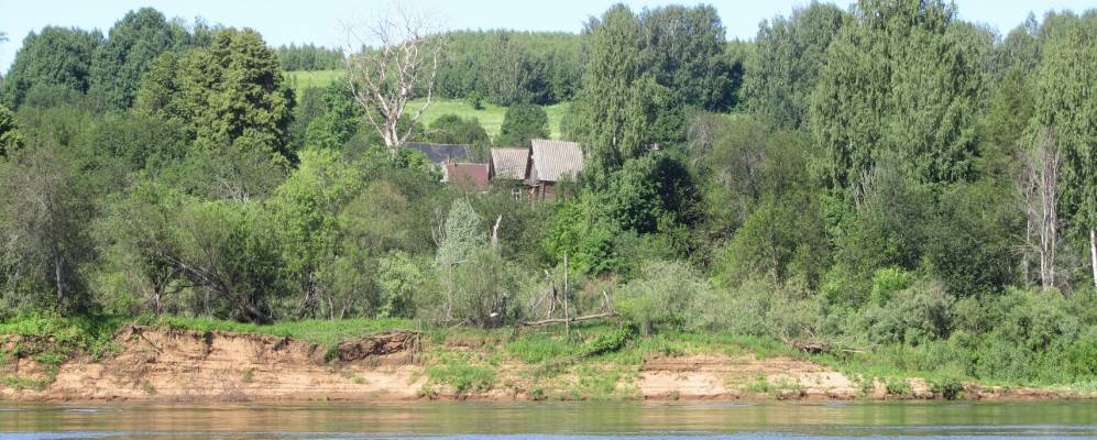 
            Фотография Толстика